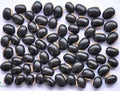 MY GOD GIFT Beej Kaunch Kala | Mucuna Pruriens Black Seeds | 100% Pure & Natural Ayurvedic Herb for Vitality – II 100grams
