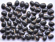 MY GOD GIFT Beej Kaunch Kala | Mucuna Pruriens Black Seeds | 100% Pure & Natural Ayurvedic Herb for Vitality – II 100grams
