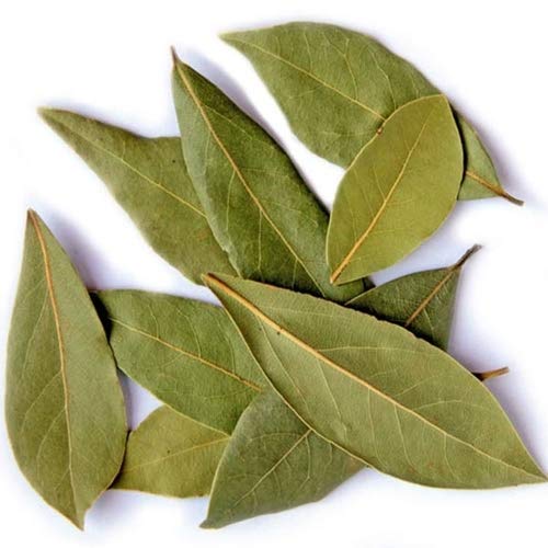MY GOD GIFT Taj Patta | Bay Leaves | 100% Pure & Natural
