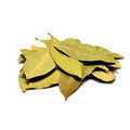 MY GOD GIFT Kadhi Patta Sabut | 100% Pure & Natural Whole Curry Leaves – 50g II Pack of 2 (50grams)