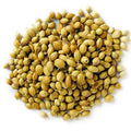 MY GOD GIFT Sabut Dhaniya | Whole Coriander Seeds | 100% Pure & Natural – II 100grams