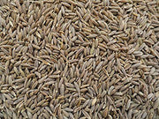 MY GOD GIFT Safad Jeera | White Cumin Seeds | 100% Pure & Natural – II 50grams