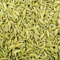 MY GOD GIFT Sadabhar Sonfe | Evergreen Fennel Seeds | 100% Pure & Natural – II Pack of 2 (100grams)