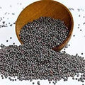 MY GOD GIFT Kali Sarso | 100% Pure & Natural Black Mustard Seeds – 50g II Pack of 2 (50grams)
